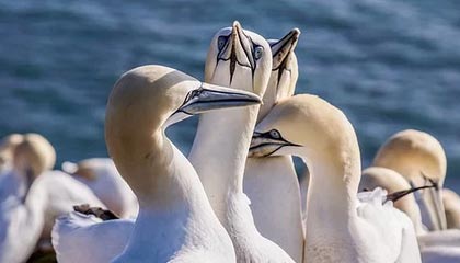 九游体育网站_ 全国青少年足球超级联赛，培养未来足球明星，九q体育下载