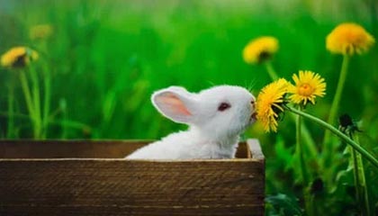 九游体育网站_ 全国青少年游泳马拉松，水中青春自由奔跑，游泳马拉松比赛规则