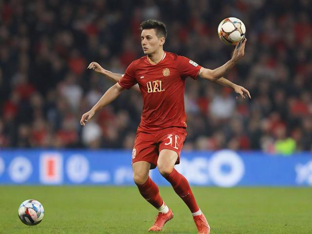 九游JIUYOU SPORTS_ 上海申花主场表现出色，锁定积分榜前三，上海申花主场迁移