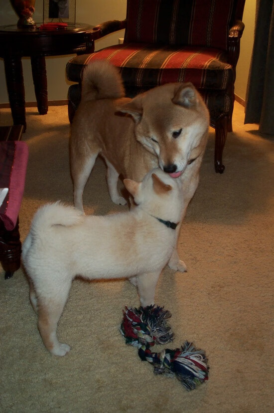 “沿海狂飙：海岸线上的速度飙升”，沿海岸线奔跑是什么歌