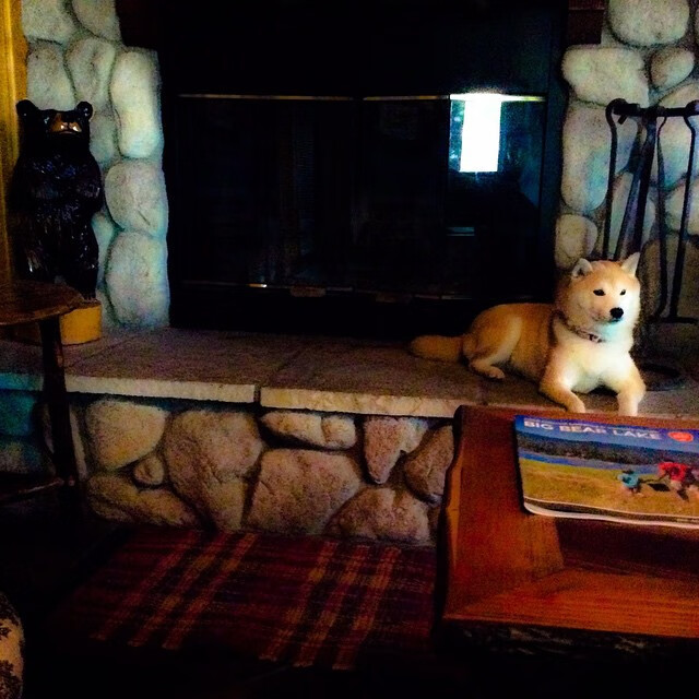 台球比赛中的“心理战”现场实录，台球实战心理策略