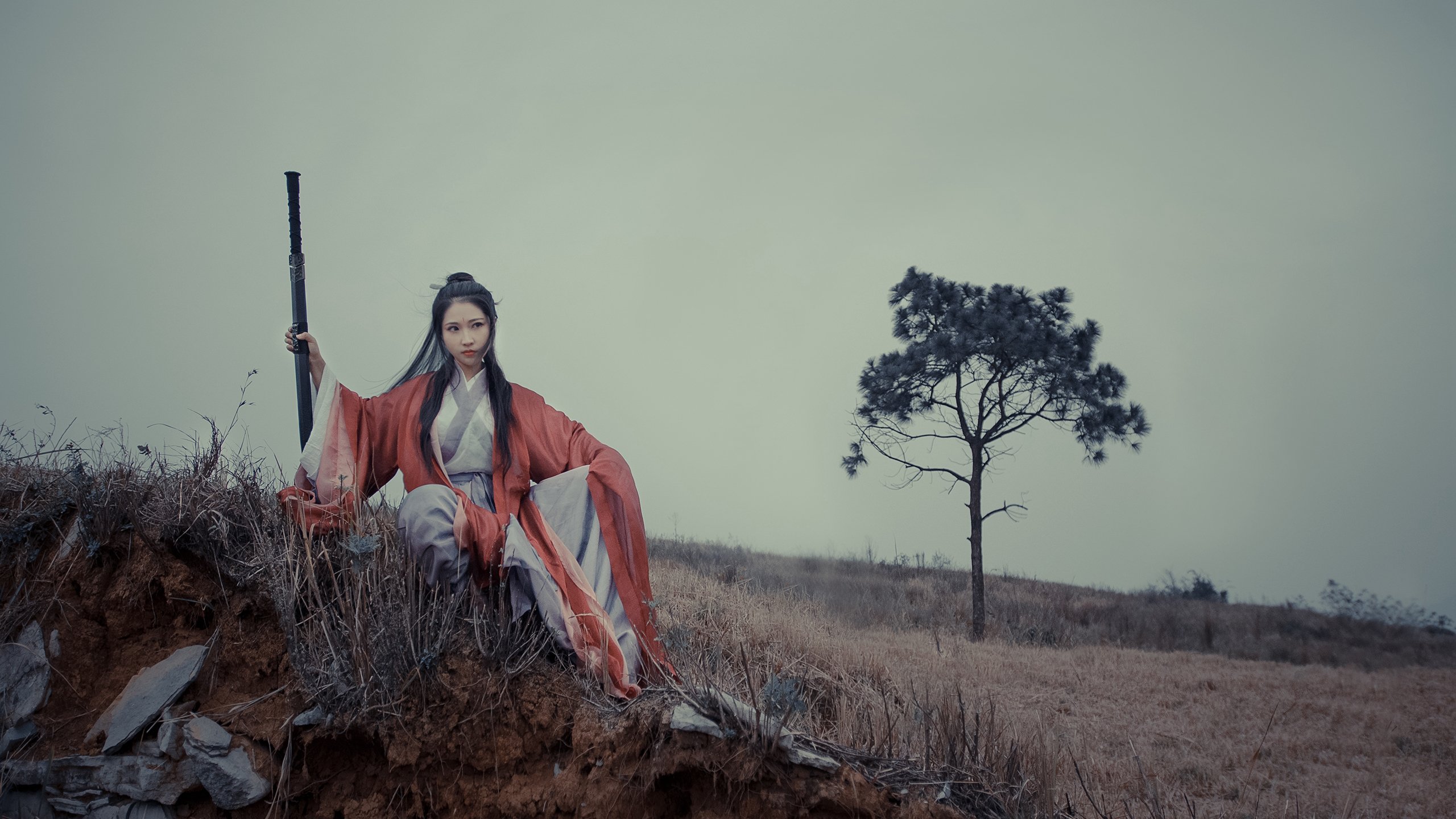 国际游泳锦标赛中国队刷新多项世界纪录,国际游泳冠军系列赛