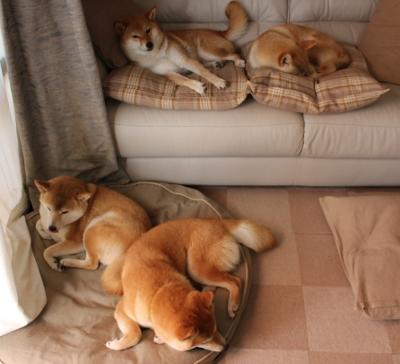 数字技术赋能青少年裁判，推动行业公平公正持续改善，数字技术大赛是什么