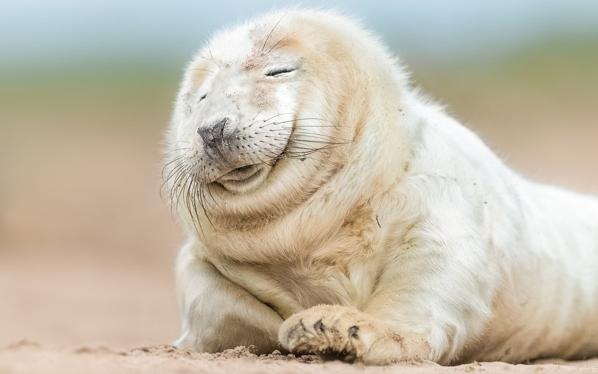 跨界合作大潮:NBA如何与娱乐、科技联手?,nba联盟跟球队老板是怎么合作的