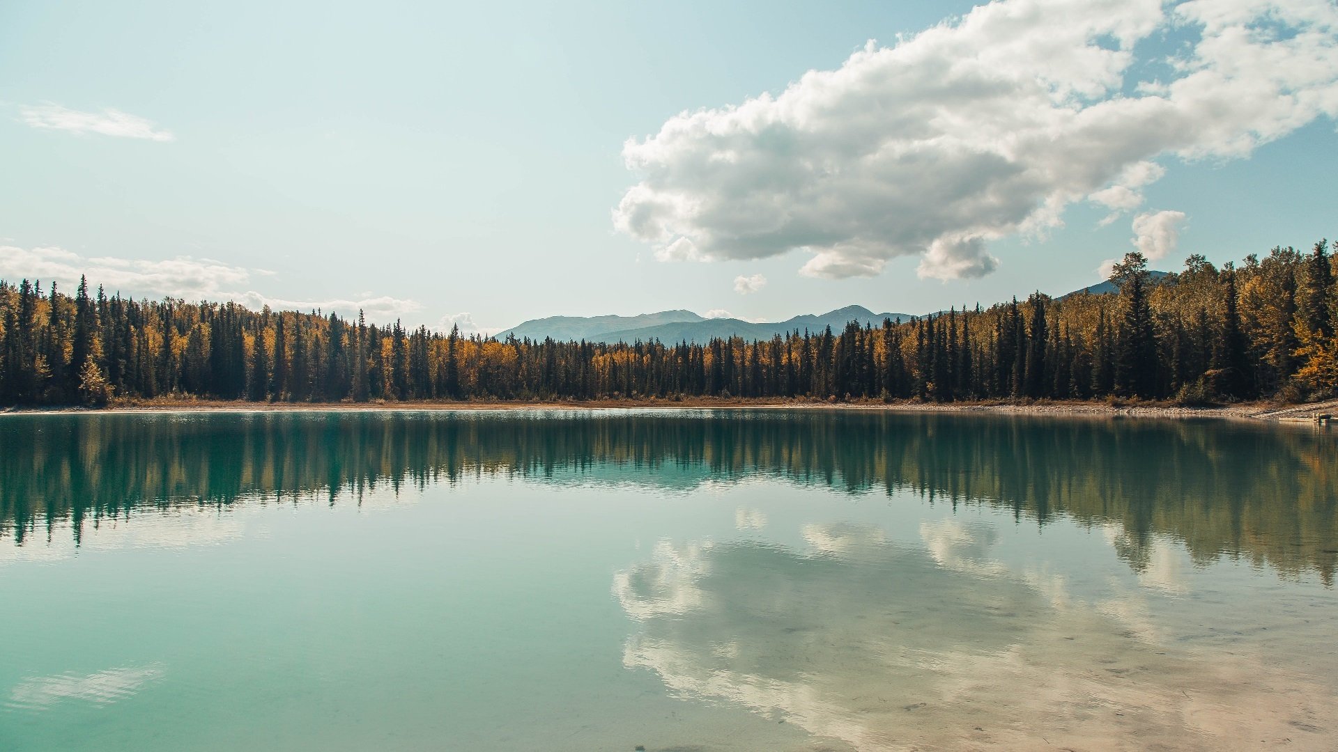 阿森纳赛季表现持续上升，追逐冠军梦想，阿森纳2021赛季