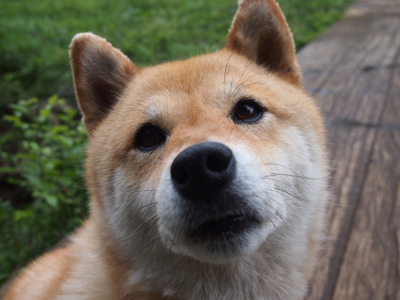 青少年“科技篮球”创新平台在南京正式成立，为青训提供新动力