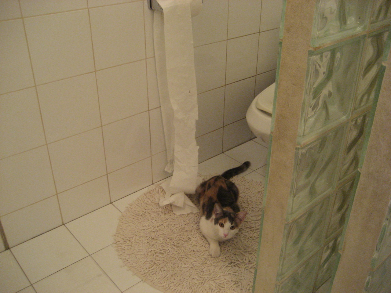 新疆广汇管理层变动引发关注,新疆广汇老总叫什么名字