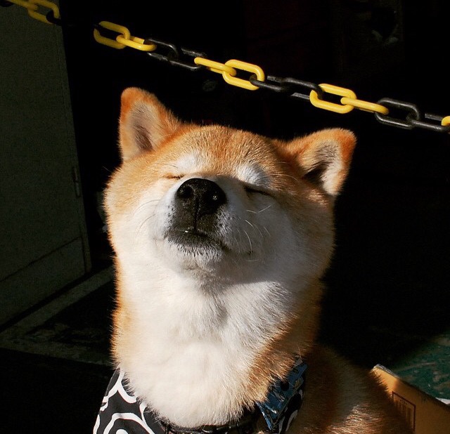 中国三人篮球男队积极备战冲击奥运资格，中国男子三人篮球运动员