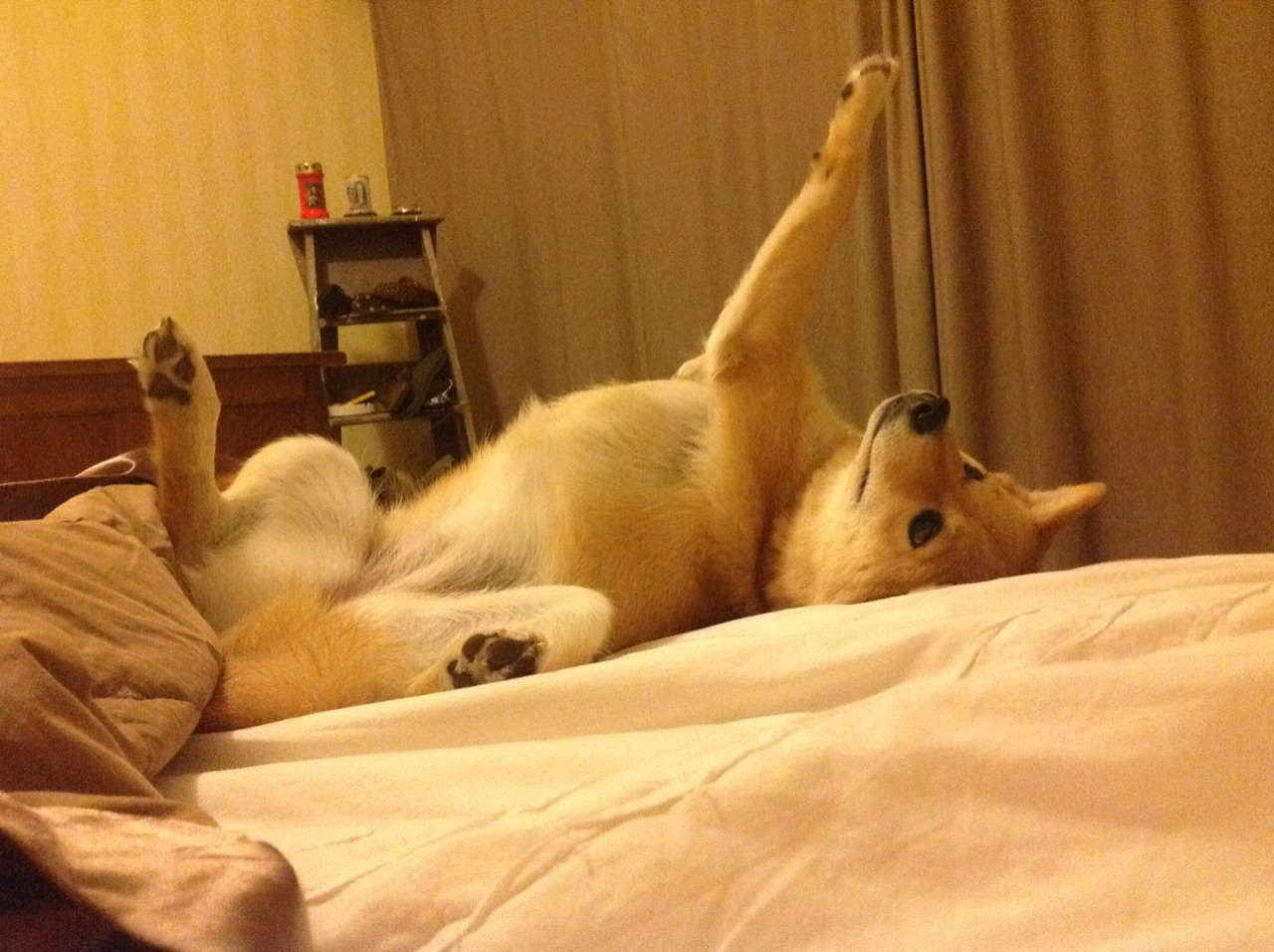 马拉松赛事组织更加规范,马拉松比赛组织