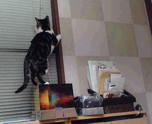 体育新闻中心转会传闻汇集，体育新闻 体坛快讯