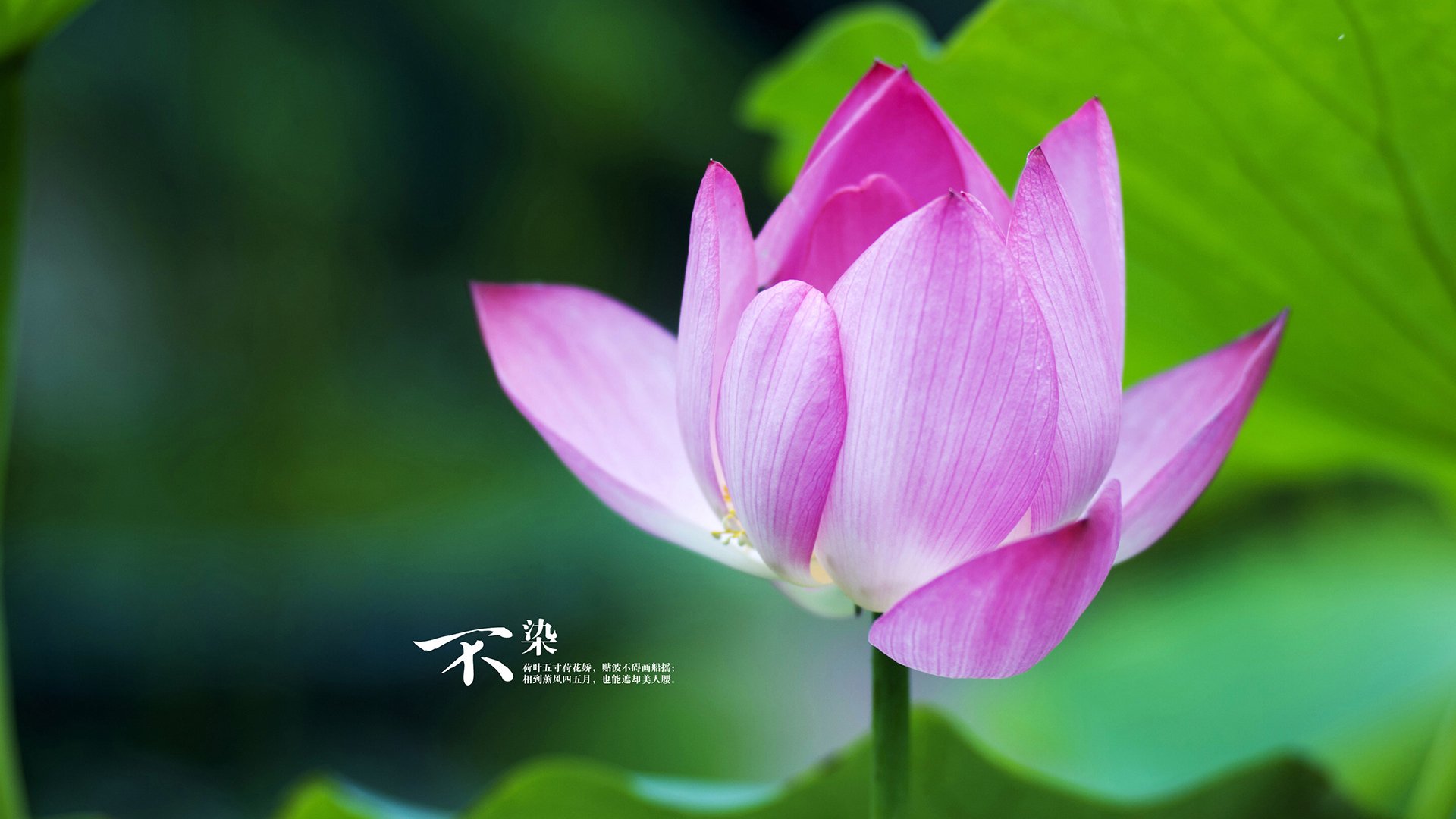 法甲战火重燃：锋线球星连续火力全开，法国锋线到底有多豪华